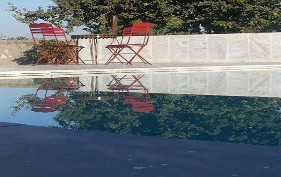 Swimming Pool with nature view