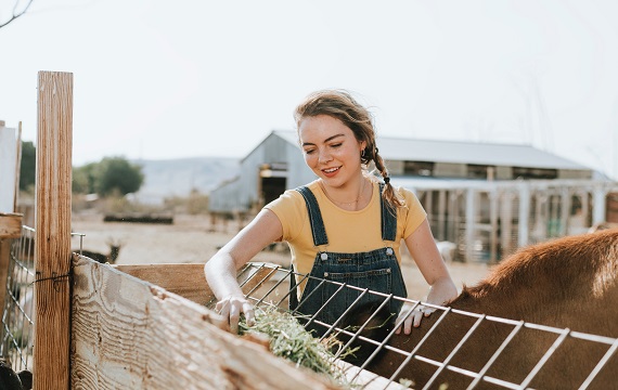 Working on a farm